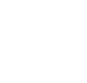 Newport Beach City Logo